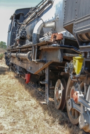 20071022_092836_NIKON D80_DxO