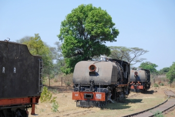 20071022_093531_NIKON D80_DxO