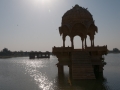 20160226_090951_NIKON D300S 20160226_090951_NIKON D300S