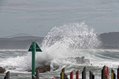 20171204_104320_NIKON D500_DxO.jpg