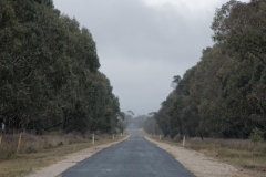 20171205_120943_NIKON D500_DxO.jpg