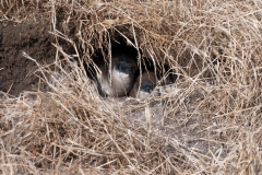 20171205_190948_NIKON D500_DxO.jpg