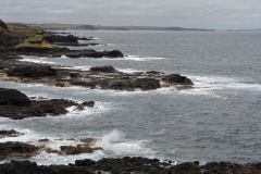 20171206_111515_NIKON D500_DxO.jpg