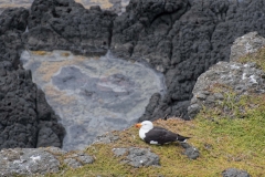 20171206_111547_NIKON D500_DxO.jpg