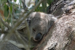 20171206_120813_NIKON D500_DxO.jpg