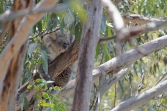 20171206_123541_NIKON D500_DxO.jpg