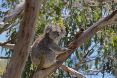 20171206_124528_NIKON D500_DxO.jpg