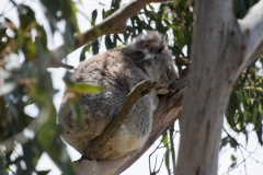 20171206_124937_NIKON D500_DxO.jpg