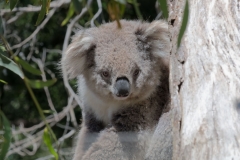 20171206_130149_NIKON D500_DxO.jpg