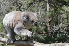 20171206_130237_NIKON D500_DxO.jpg