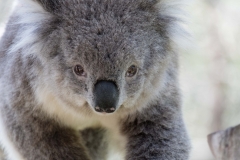 20171206_130323_NIKON D500_DxO.jpg