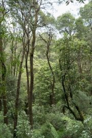 20171210_145350_NIKON D500_DxO.jpg