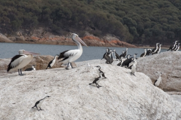 20171215_102550_NIKON D500_DxO.jpg