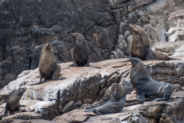 20171215_114327_NIKON D500_DxO.jpg