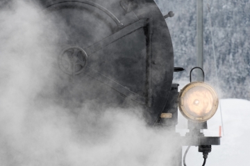 20180204_140559_NIKON D500_DxO