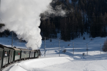 20180204_153542_NIKON D500a_DxO