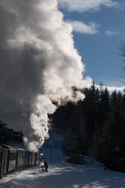 20180204_153746_NIKON D500a_DxO