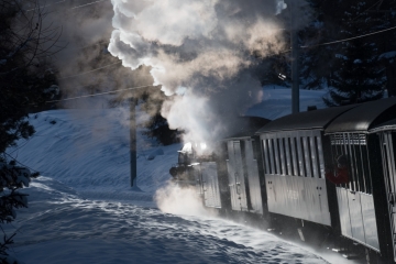 20180204_161114_NIKON D500_DxO