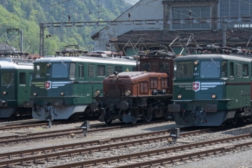 20180505_124531_NIKON D500_DxO