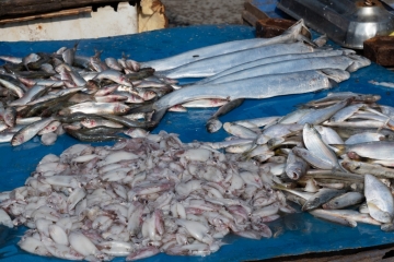 20181128_085448_NIKON D500_DxO