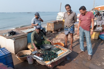 20181128_085523_NIKON D500_DxO