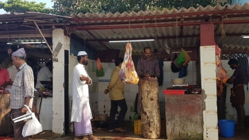 20181128_085645_SM-G935F