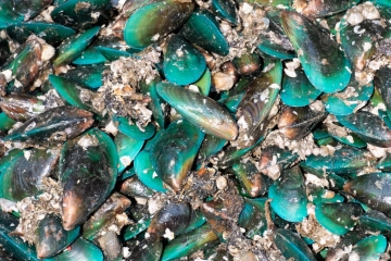 20181128_090213_NIKON D500_DxO