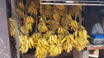 20181128_090606_SM-G935F