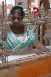 20181128_113752_NIKON D500_DxO