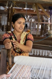 20181128_114044_NIKON D500_DxO