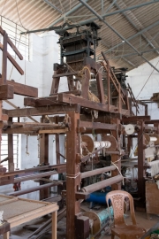 20181128_115720_NIKON D500_DxO