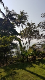 20181128_145903_SM-G935F