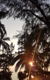 20181128_173334_SM-G935F