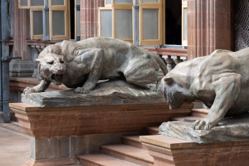 20181204_133712_NIKON D500_DxO