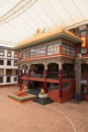 20180222_130117_NIKON D500_DxO