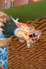 20180222_130204_DMC-GM5_DxO