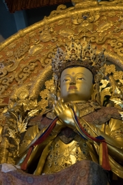 20180222_131156_NIKON D500_DxO