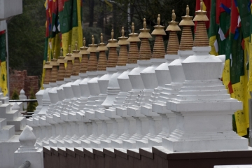 20180222_141617_NIKON D500_DxO