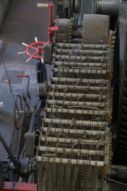 20180727_113558_NIKON D500_DxO