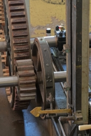 20180727_113623_NIKON D500_DxO