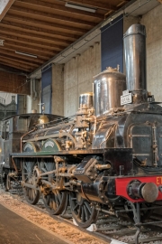 20180725_134008_NIKON D500_DxO