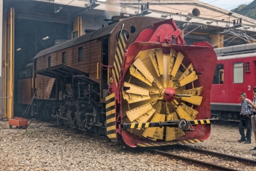 20180609_120312_NIKON D500_DxO