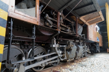 20180609_121612_NIKON D500_DxO