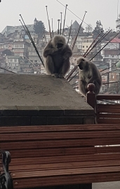 20180225_165004_TfDH