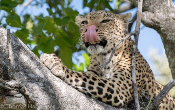 Africa2019-32
