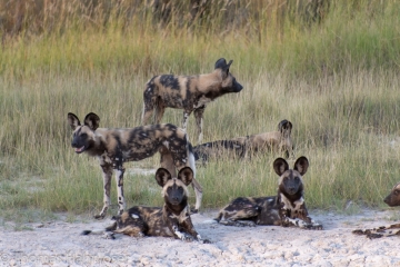 Africa2019-36
