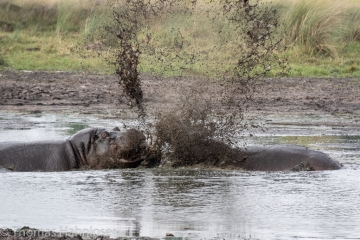 Africa2019-52