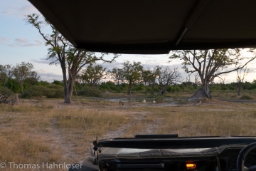 Africa2019-60