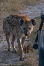 Africa2019-61