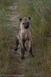 Africa2019-62